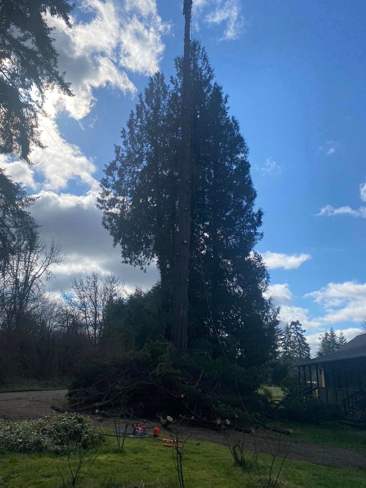 All Photos for Juan Esteban Landscape service LLC  in Bonney Lake, WA