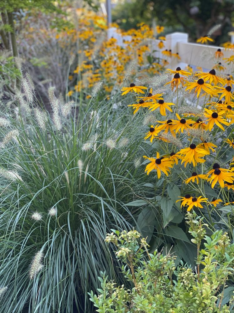 All Photos for Courtney Lewis Landscape Design in Portland, OR