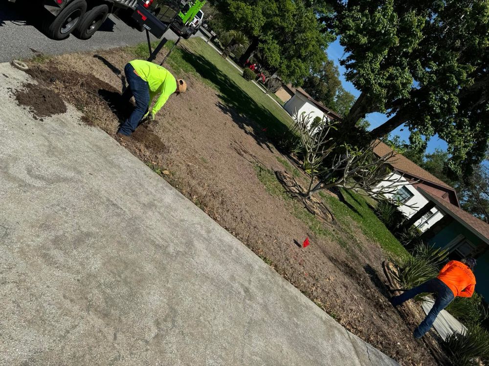 All Photos for Duck's Lawn & Tree Service in Winter Haven, FL