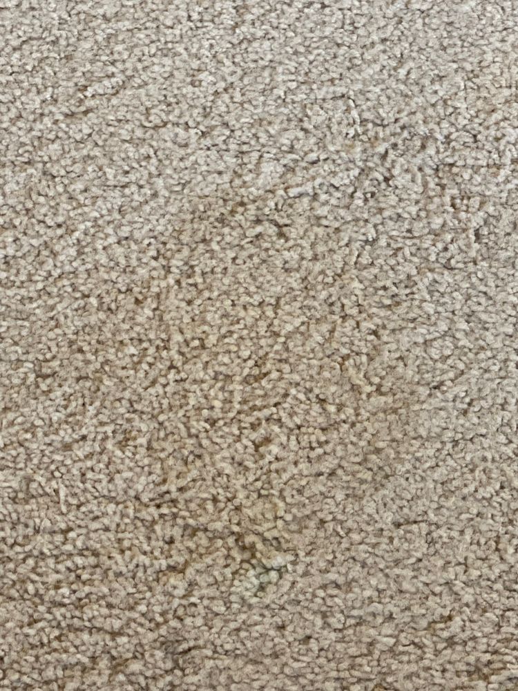 All Photos for Tony's Remodeling & Painting in Renton, WA