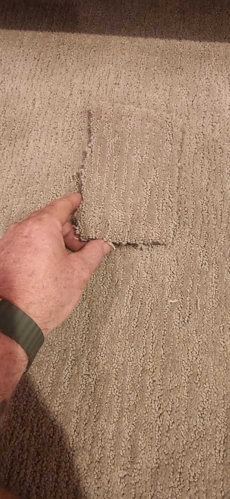 All Photos for Cut a Rug Flooring in Lake Orion, MI