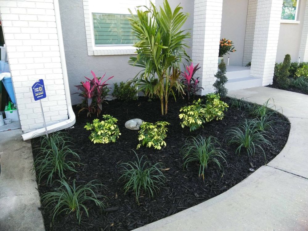 Landscaping for Tezna Landscaping, Trees & Pavers in Valrico, FL