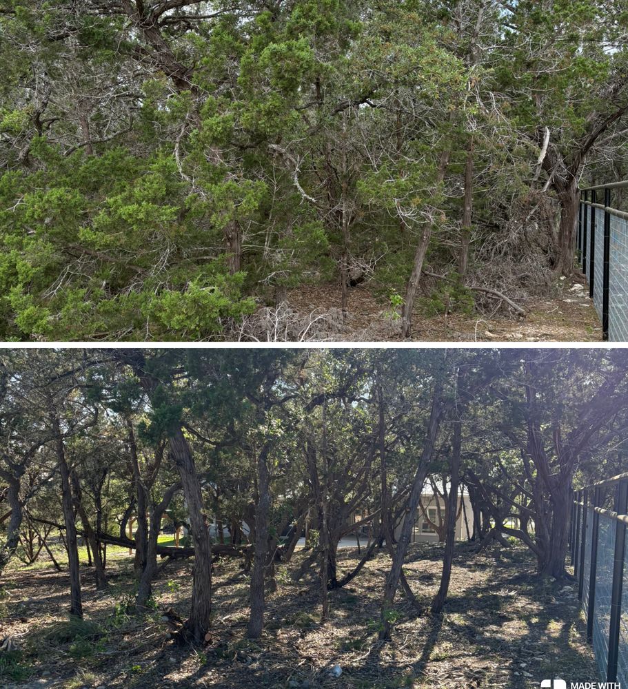 All Photos for Bad Axe Landscapes LLC in Schertz, TX