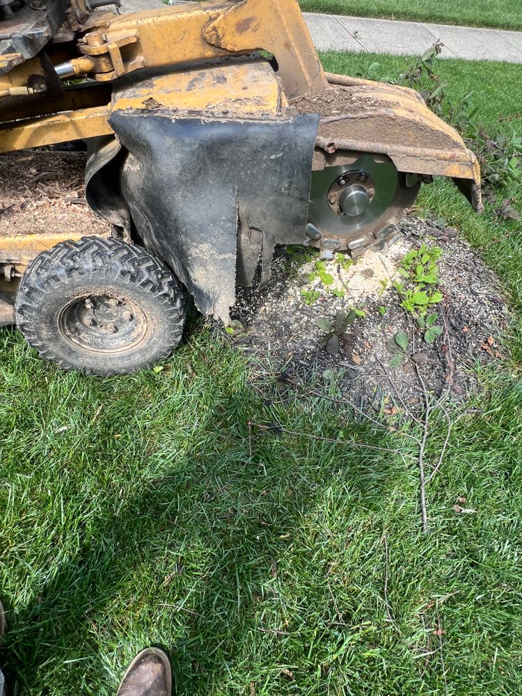All Photos for Mark’s Mowing & Landscaping LLC  in Ashville, OH