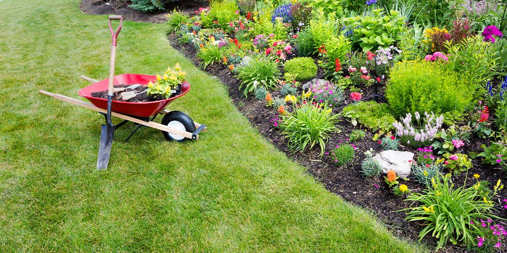Enhance your home's curb appeal with our expert fall and spring clean up service, ensuring a pristine lawn free from debris, leaves, and clutter for a fresh seasonal start. for H&G Landscapes LLC in Chicago, IL