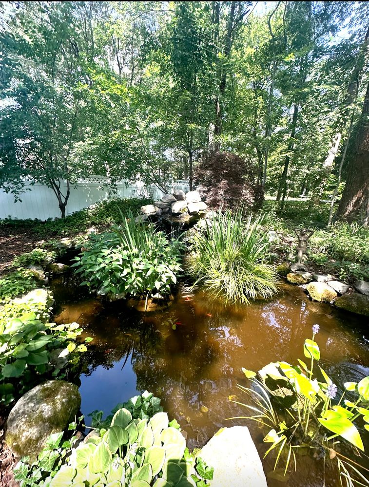 All Photos for Matteo Hardscapes in Towson,  MD