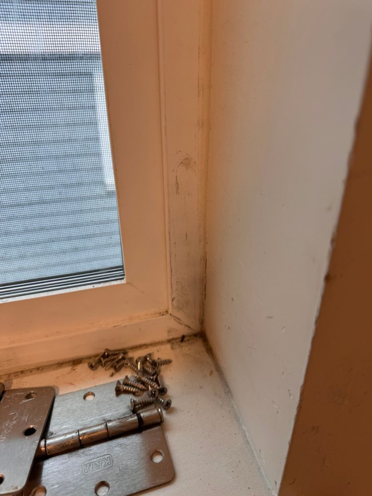 All Photos for Tony's Remodeling & Painting in Renton, WA