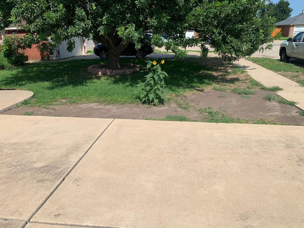 All Photos for Scalpel Lawn Service in Temple, TX