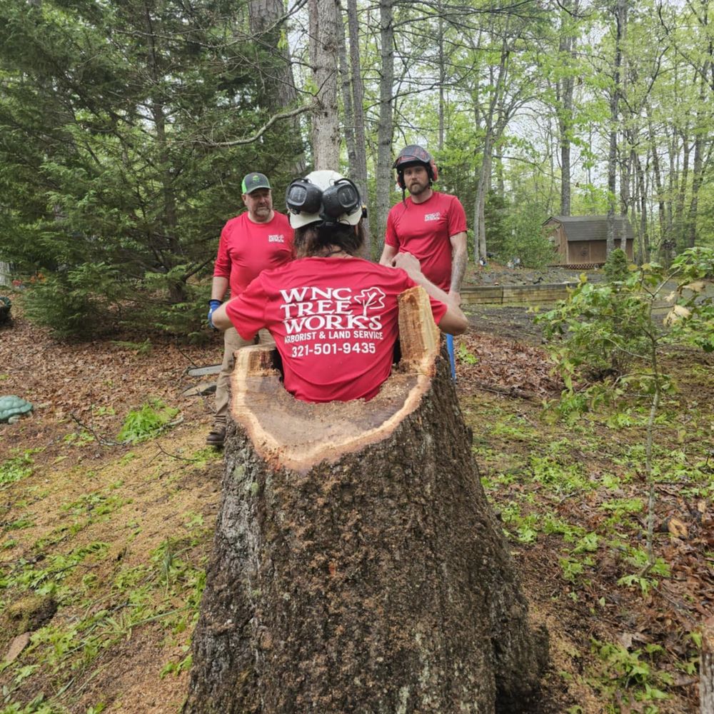 All Photos for WNC Tree Works LLC in Murphy,  North Carolina