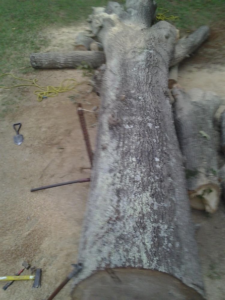 Tree Services for Wofford's Grading Clearing and Landscaping in Milton, GA