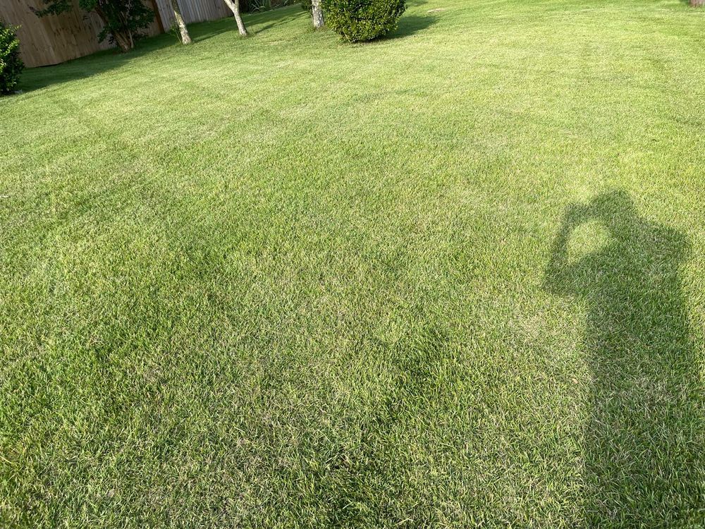 All Photos for Isaias Velasquez Landscaping and Services in Williamsburg, VA