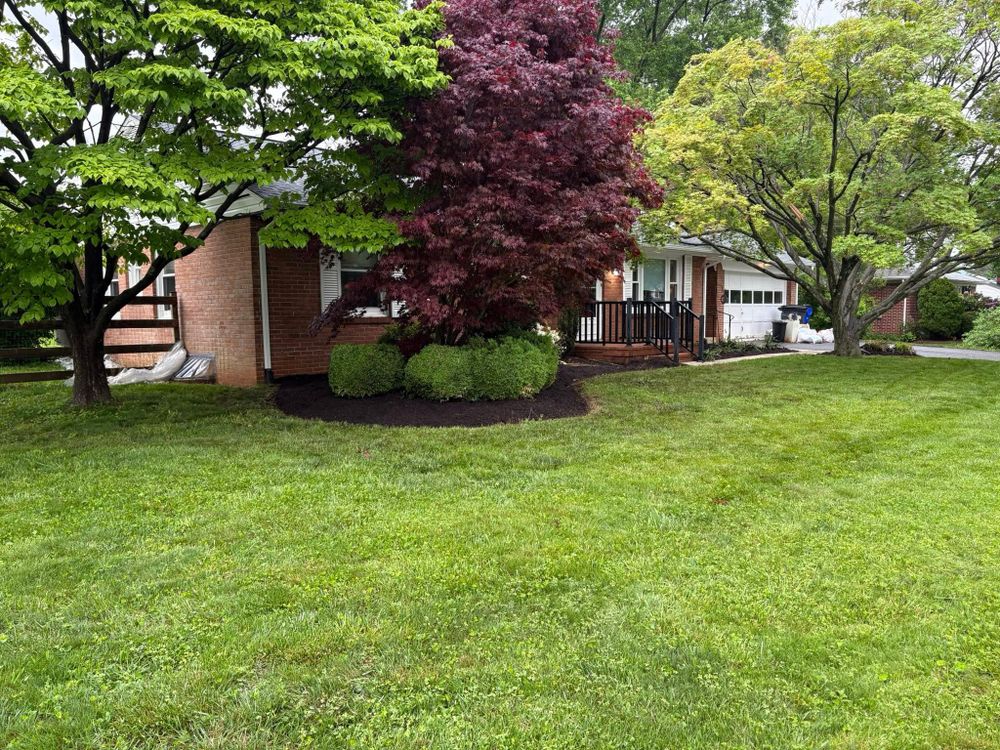 All Photos for Walsh Lawn And Landscape in Olney, MD