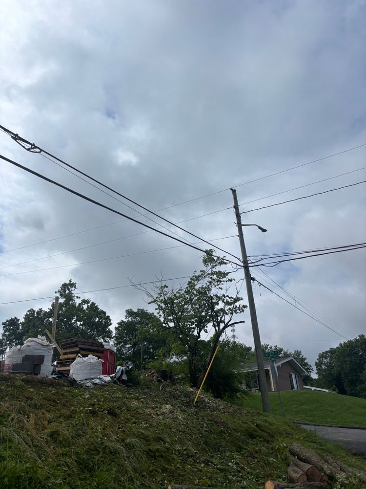 All Photos for SEALY TREE and LAWN in Cleveland, TN