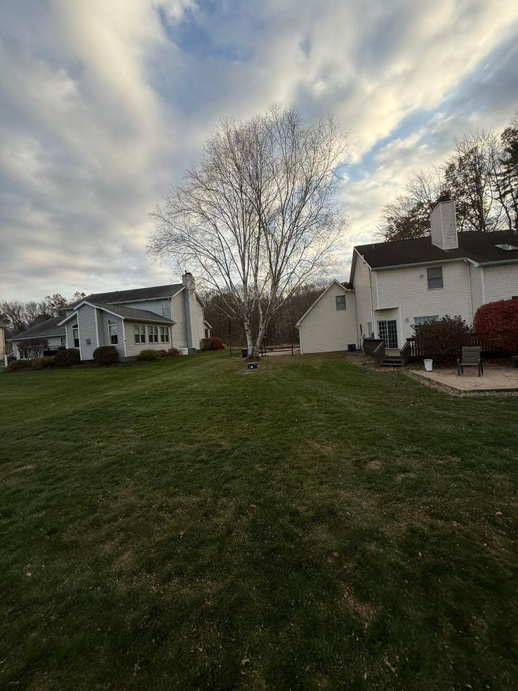 All Photos for Tactical Stripes Lawn care in Uniontown, OH