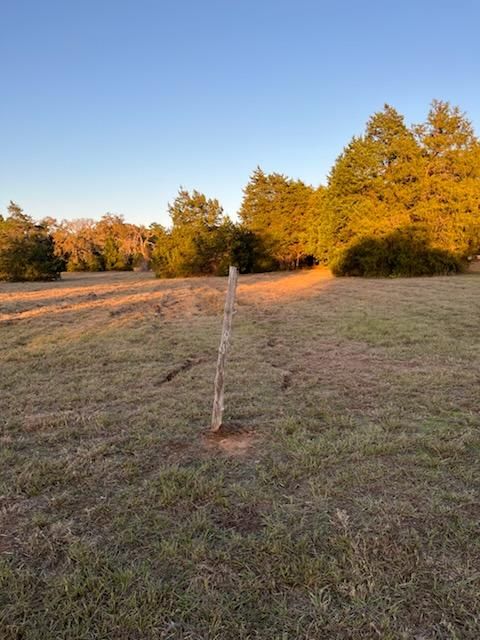 All Photos for Oviedo Land & Garden in Bastrop, TX