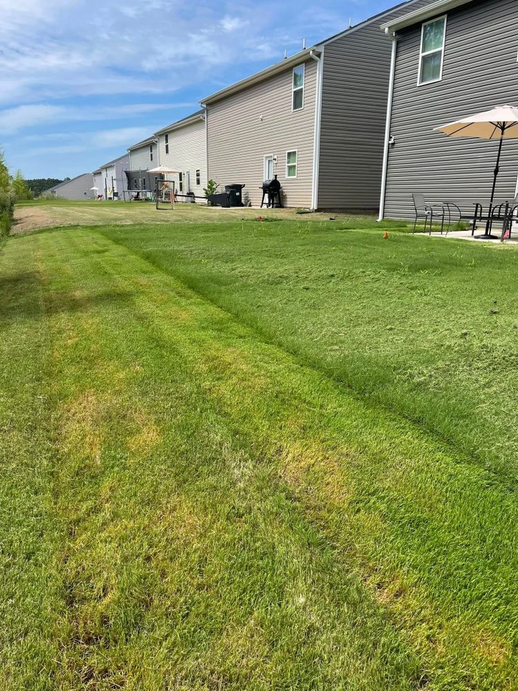 Lawn Care for Upstate Precision Landscaping in Moore, SC