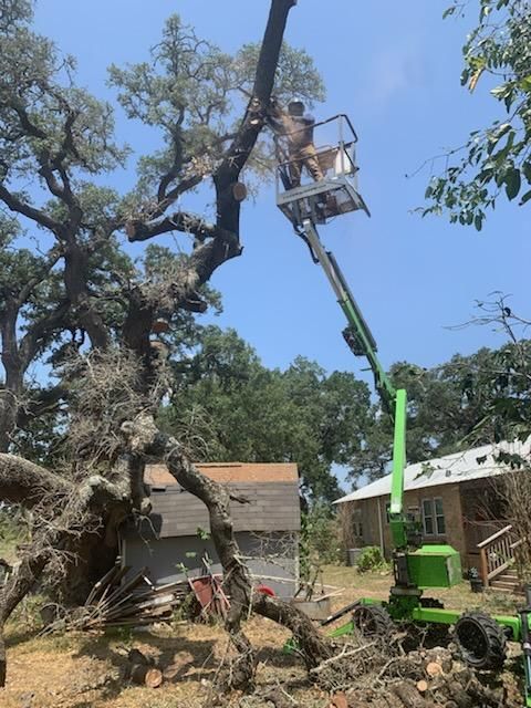 All Photos for Braun Tree Service in Floresville, Texas