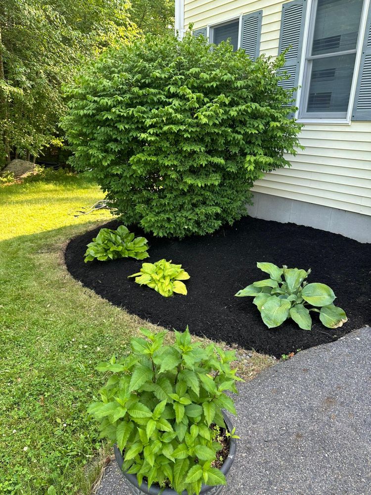 All Photos for Silver City Tree and Landscape in Taunton, MA