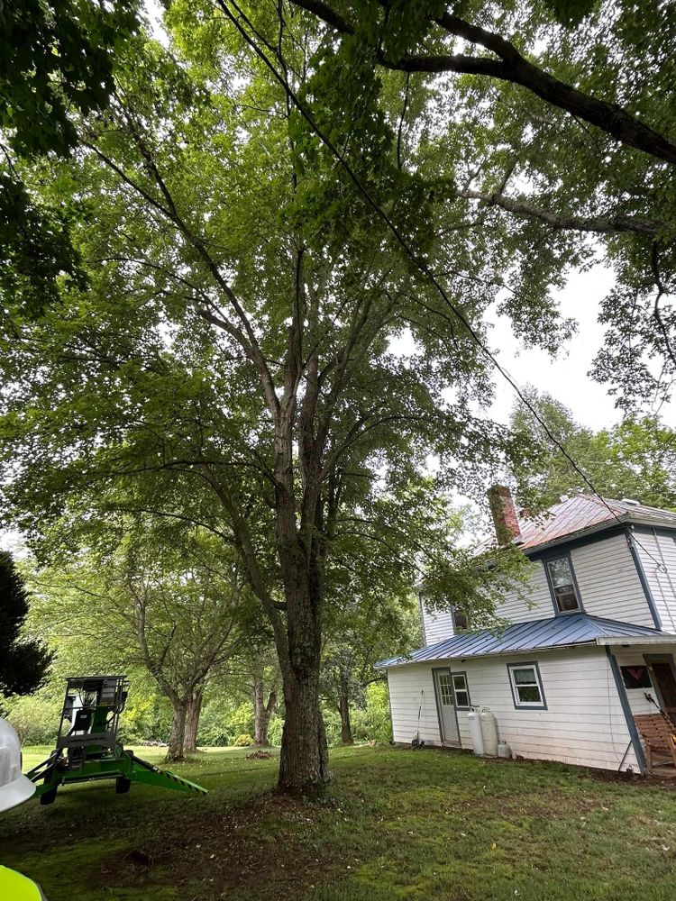 All Photos for NRV Tree Pro, LLC in Narrows, VA