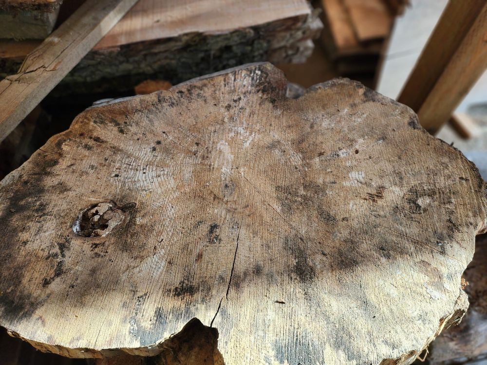 All Photos for The Baskins Sawmill in Port Angeles,  WA