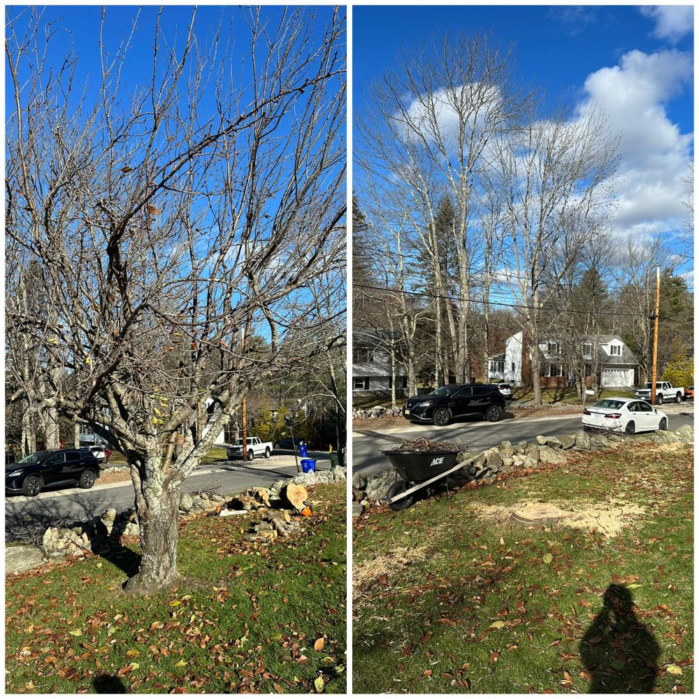 All Photos for Deciduous Treeworks LLC in Concord, NH