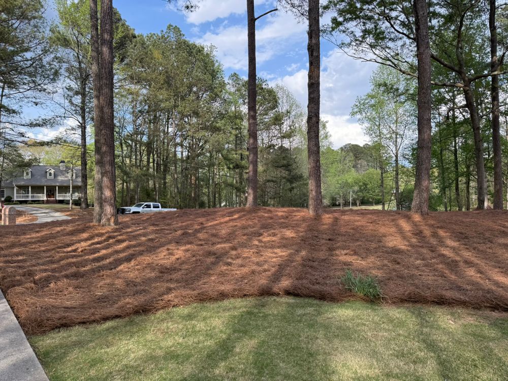 All Photos for Tri-P Services in Athens, GA