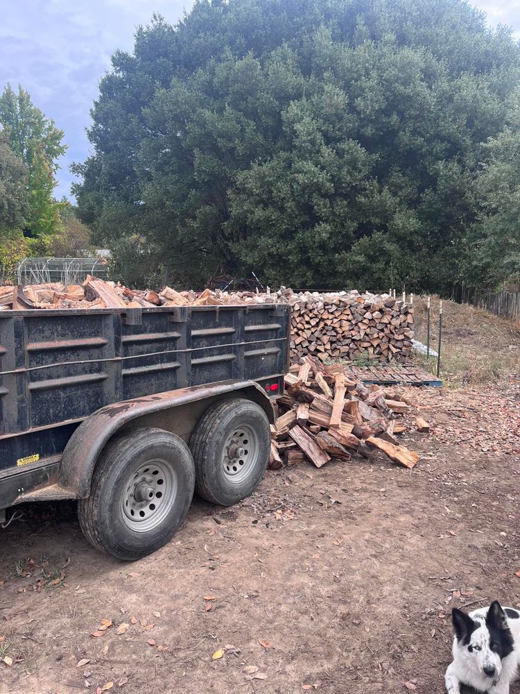 Our Tree Removal service safely and efficiently removes unwanted or hazardous trees from your property, ensuring minimal disruption to your landscape while enhancing the safety and aesthetics of your home environment. for J. Orozco & Sons Ent in Philo, CA