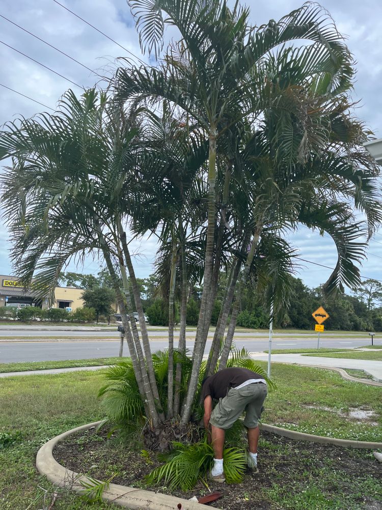 All Photos for Space Coast Property Maintenance and Management LLC in Melbourne, FL