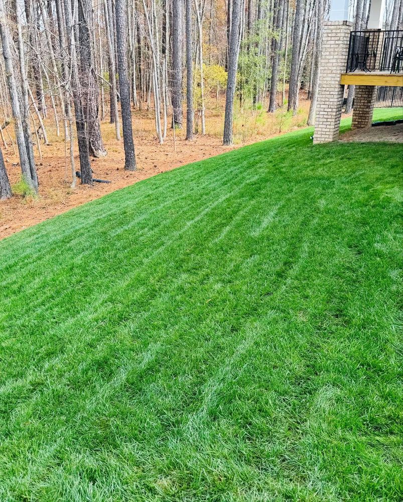 All Photos for Archer's Grounds Maintenance in Chesterfield, VA