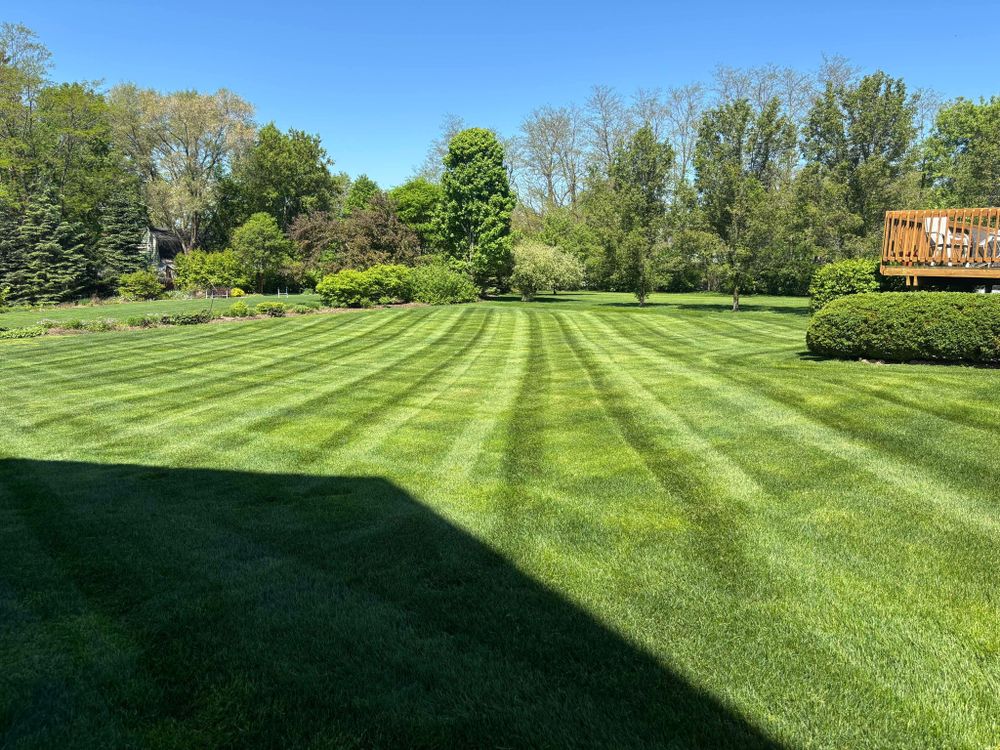 All Photos for Steed's Lawn and Landscape LLC in White Lake, MI