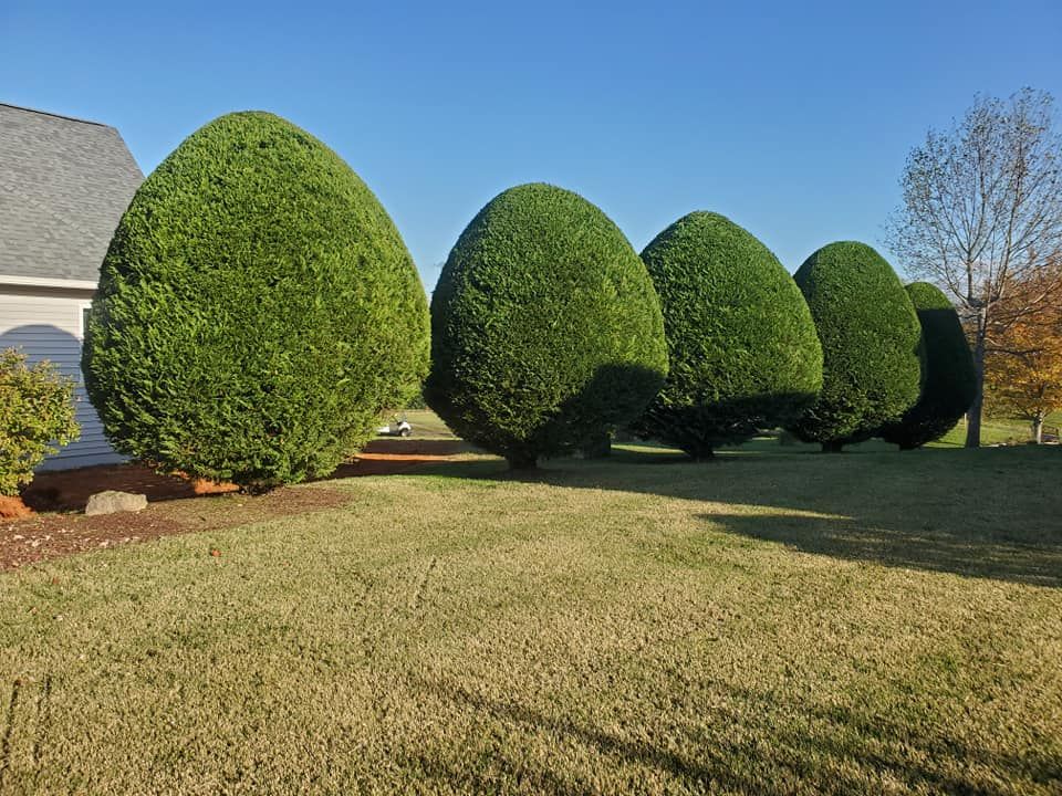 All Photos for Great Lakes Lawn & Landscape in knoxville, TN