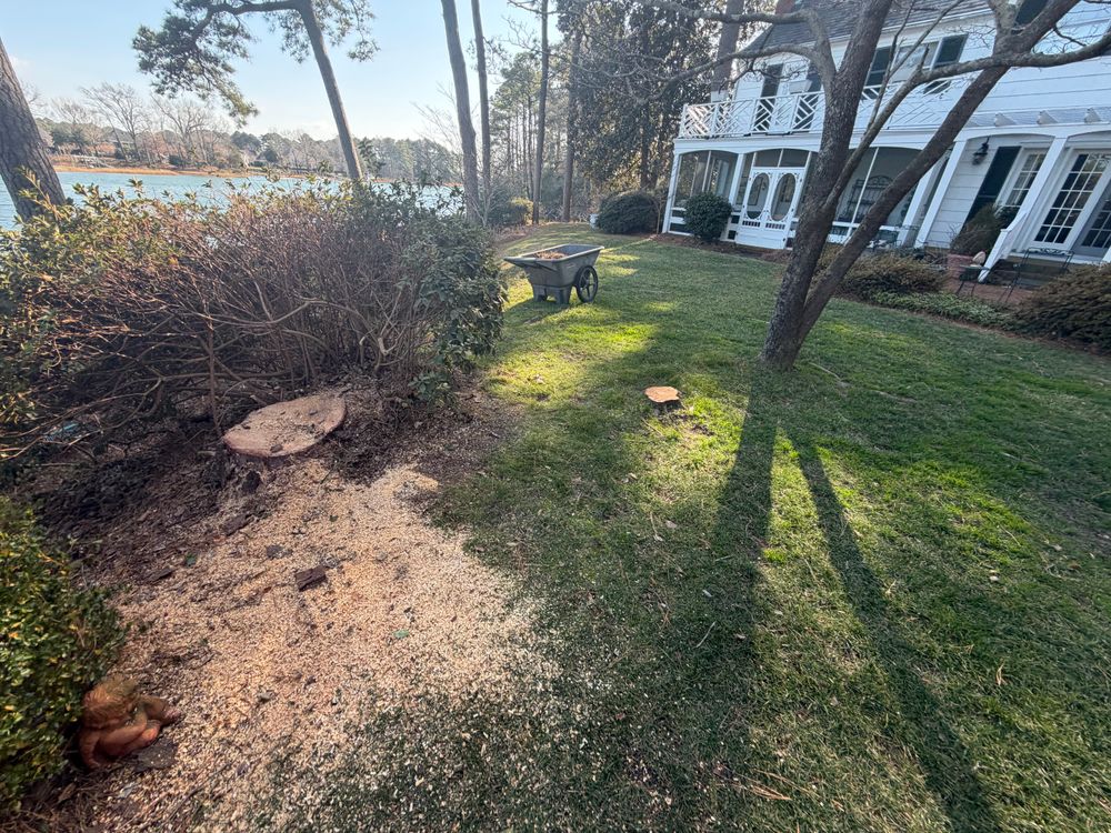 Enhance your outdoor space with our expert landscaping services, designed to complement our tree care. We offer personalized solutions for a beautiful, functional landscape tailored to your home's unique needs. for Tidewater Tree Service in Chesapeake, VA