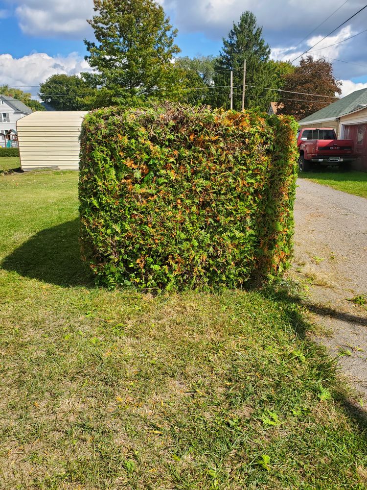 All Photos for Down Home Landscaping in Stillwater, PA