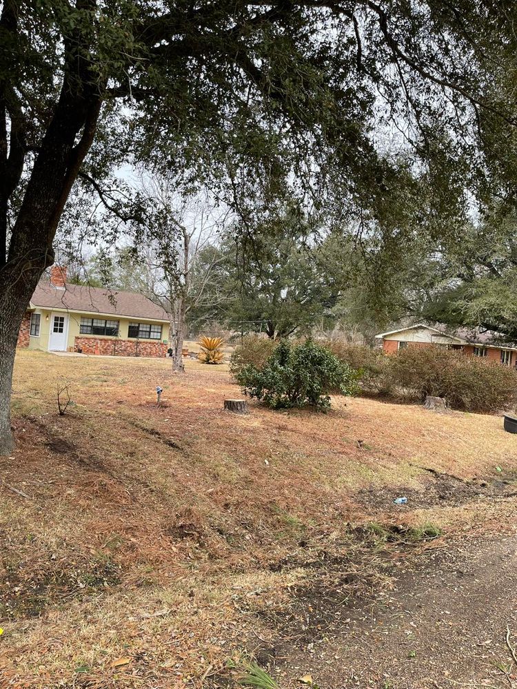 All Photos for Morace Tree Service in Natchez,,  MS