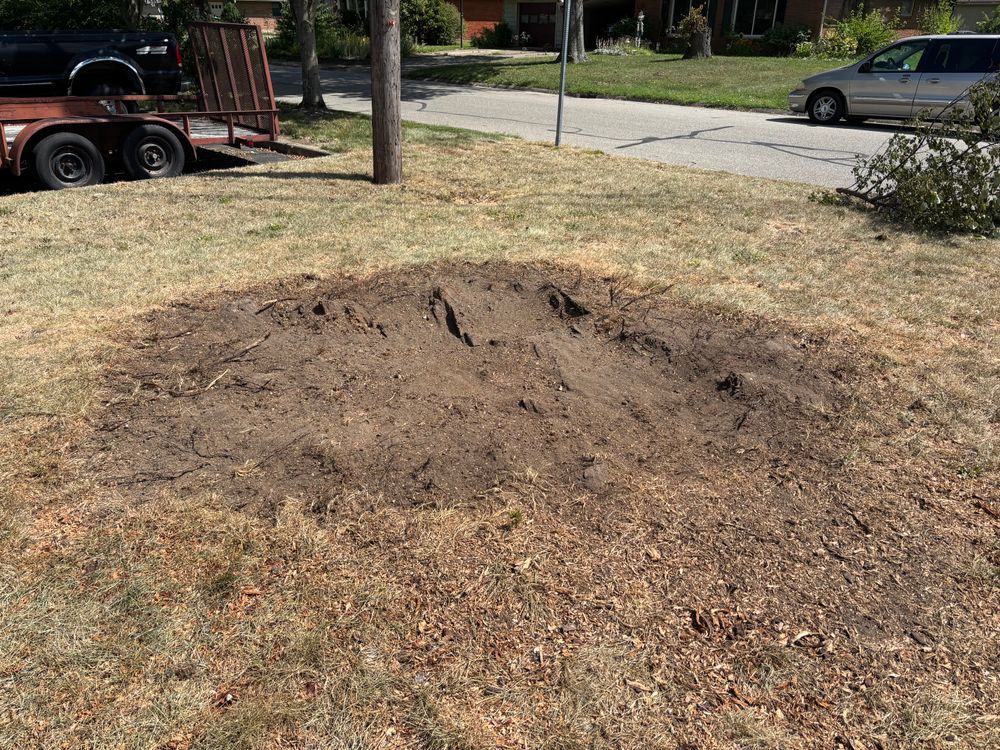 All Photos for Conrad's Stump Removal in Columbus, IN