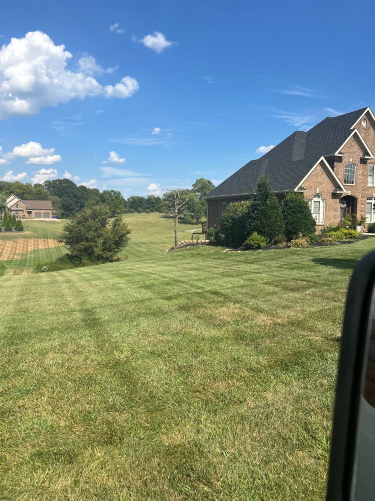 All Photos for Optimum Tree Service And Landscaping in Bowling Green, KY