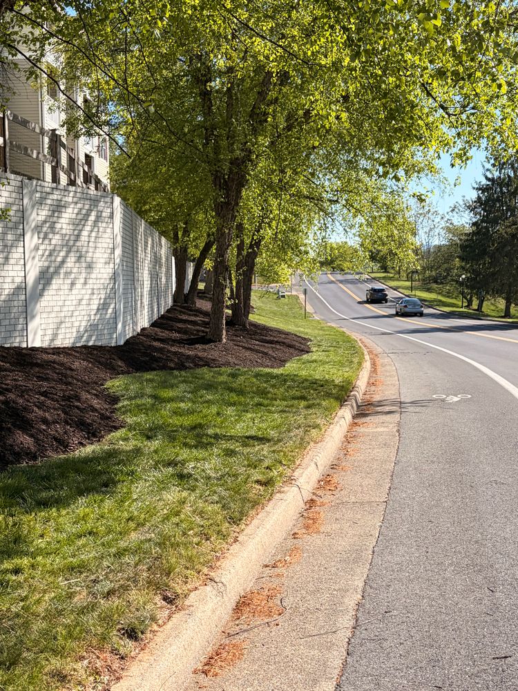 All Photos for Valencia’s Lawncare in Charlottesville, VA