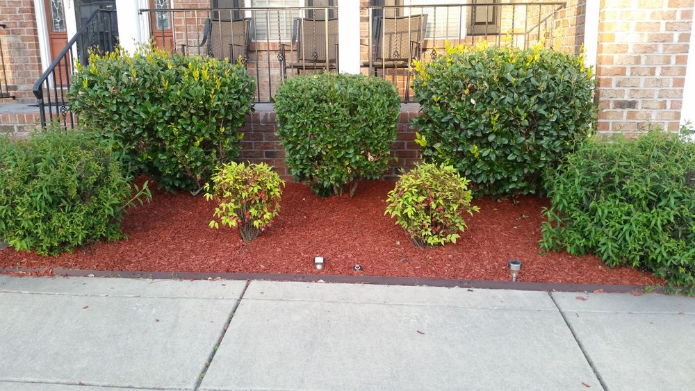 All Photos for Mancinas Home Improvement, Landscaping, & Lawn Care in Fayetteville, NC