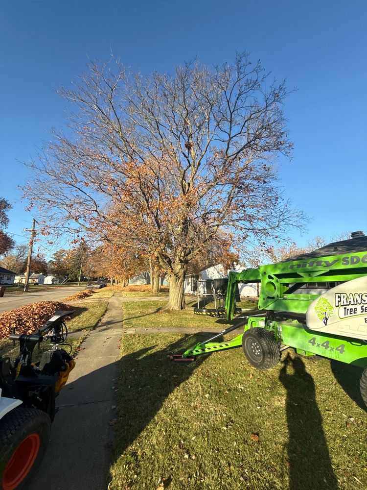 All Photos for Fransen's Tree Service  in Freeport, IL