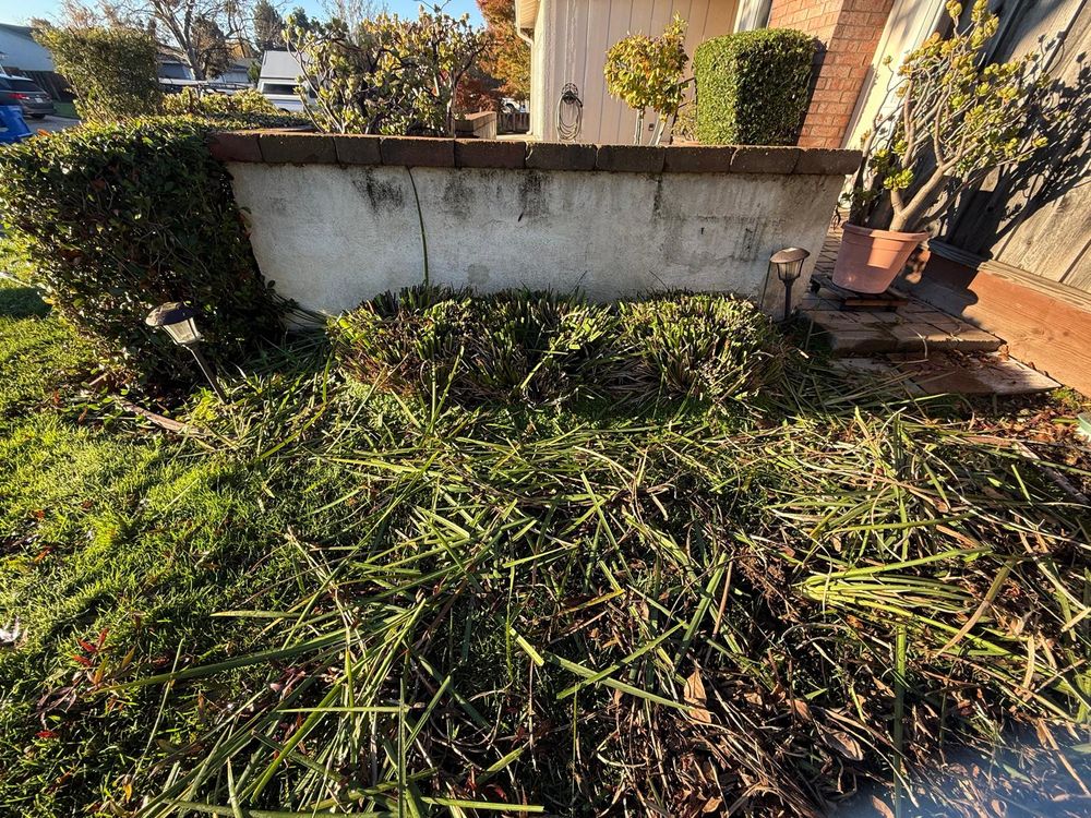 All Photos for CBA Landscaping in Hayward, CA