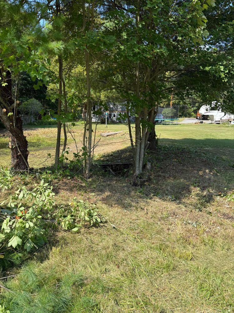 All Photos for Lucas Property Maintenance LLC in New Bedford, MA