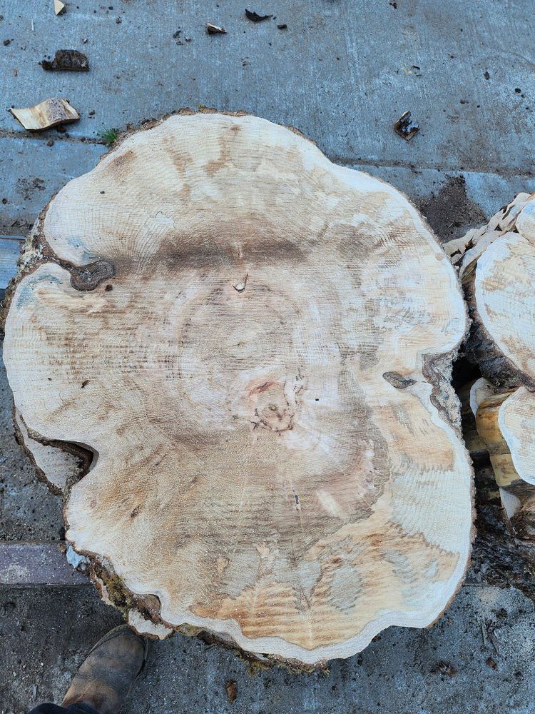 All Photos for The Baskins Sawmill in Port Angeles,  WA