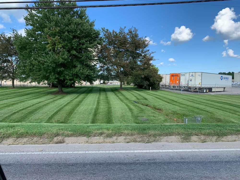 Lawn Care for Dust Till Dawn Lawn in London, Kentucky