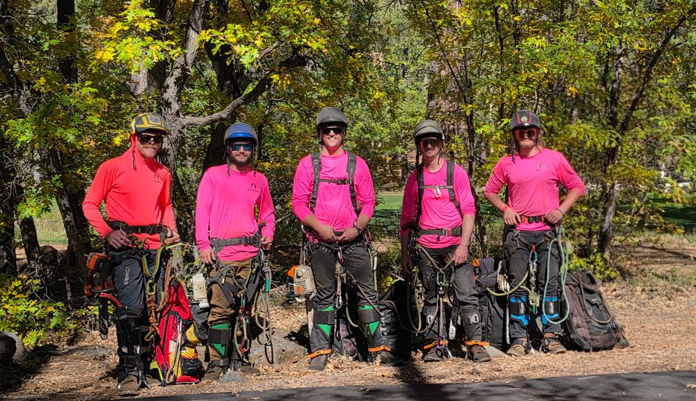 StockPro Tree Specialists team in Show Low, AZ - people or person