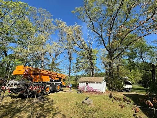 All Photos for Rawls Tree Care in Richmond, VA