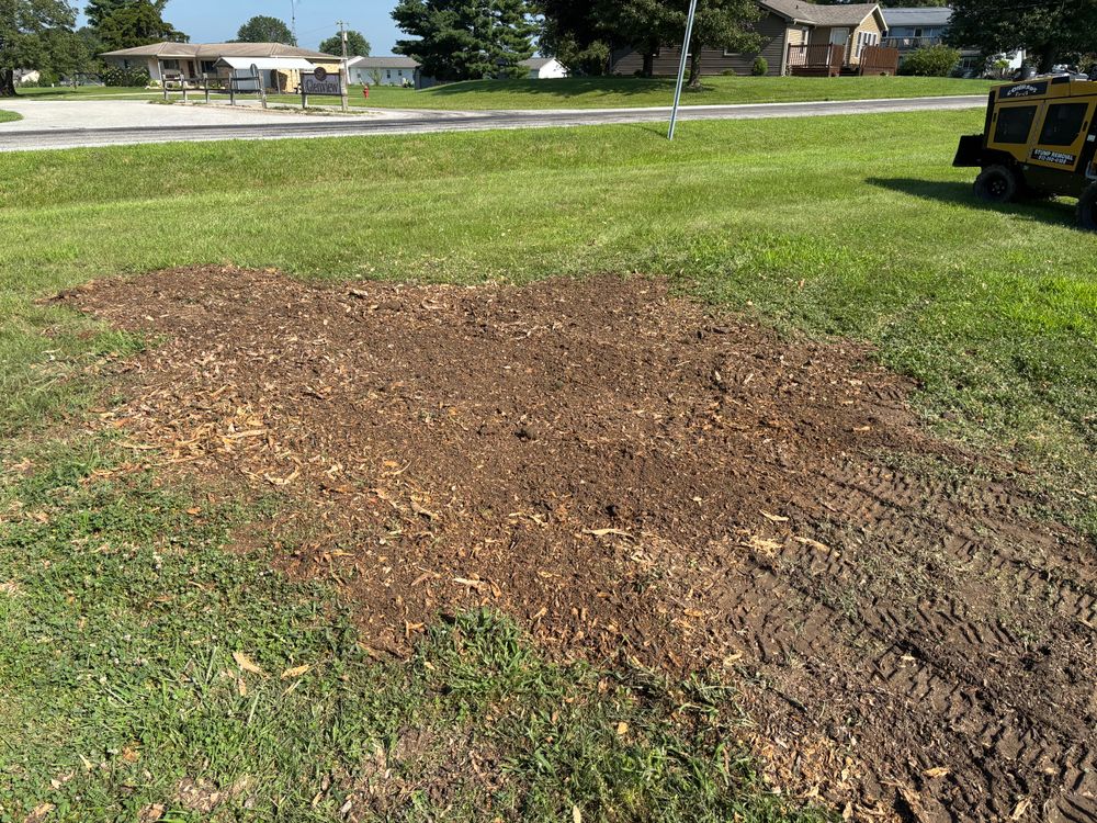 All Photos for Conrad's Stump Removal in Columbus, IN