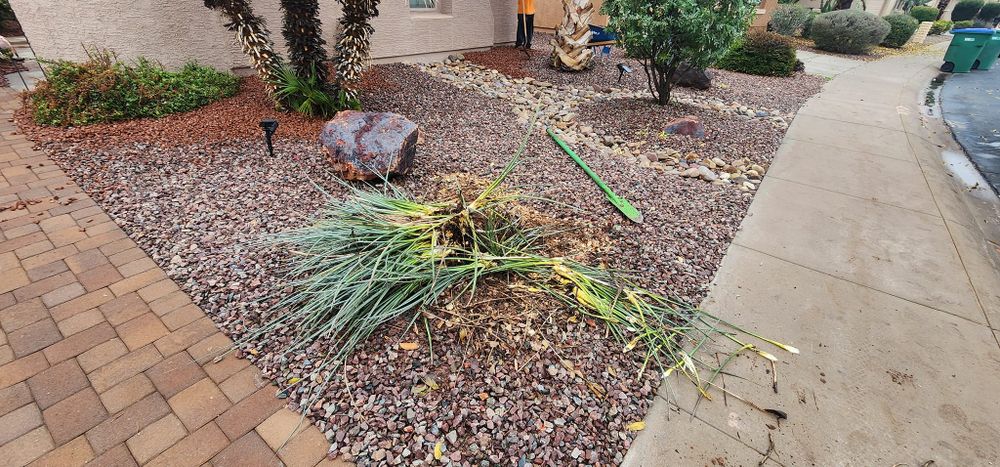 Transform your outdoor space with our Yard Cleanups service, offering meticulous debris removal, leaf raking, and garden revitalization to ensure a pristine and welcoming landscape for any season. for Sunrise Landscape in Maricopa, AZ