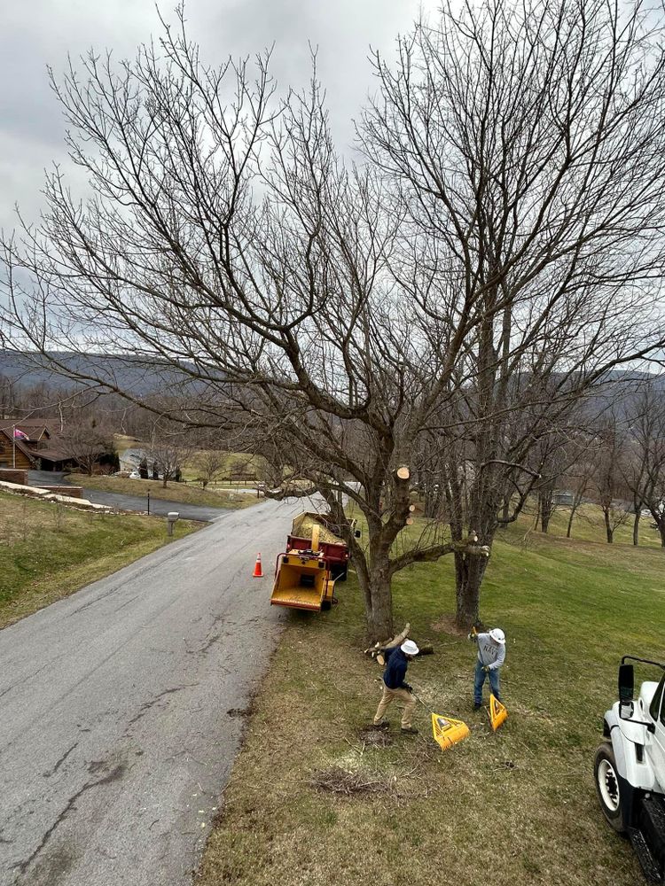 All Photos for NRV Tree Pro, LLC in Narrows, VA