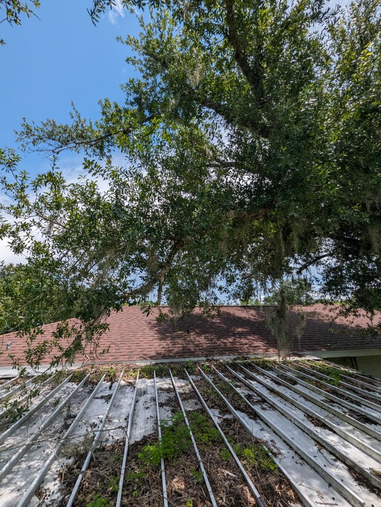 All Photos for Regal Tree Service and Stump Grinding in Wauchula, FL