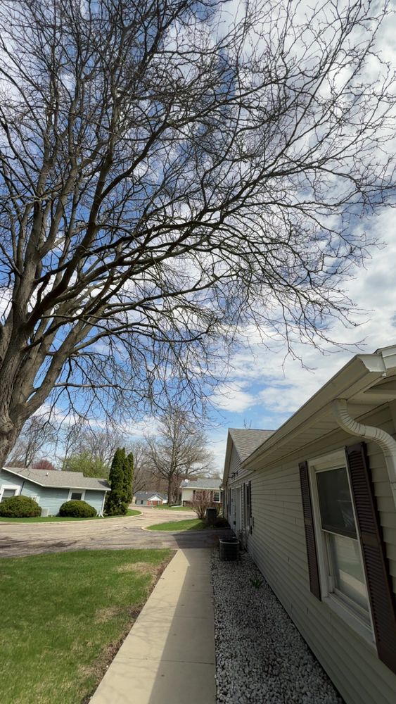 All Photos for Fransen's Tree Service  in Freeport, IL